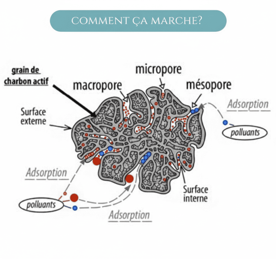 Lot de 3 Charbons Binchotan bio filtre à eau naturel Le Charbon Actif Français