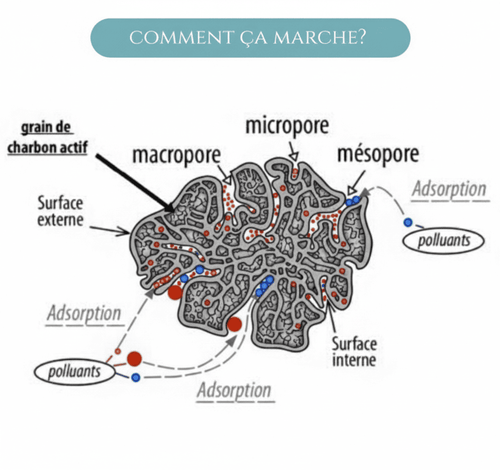 Lot de 3 Charbons Binchotan bio filtre à eau naturel Le Charbon Actif Français
